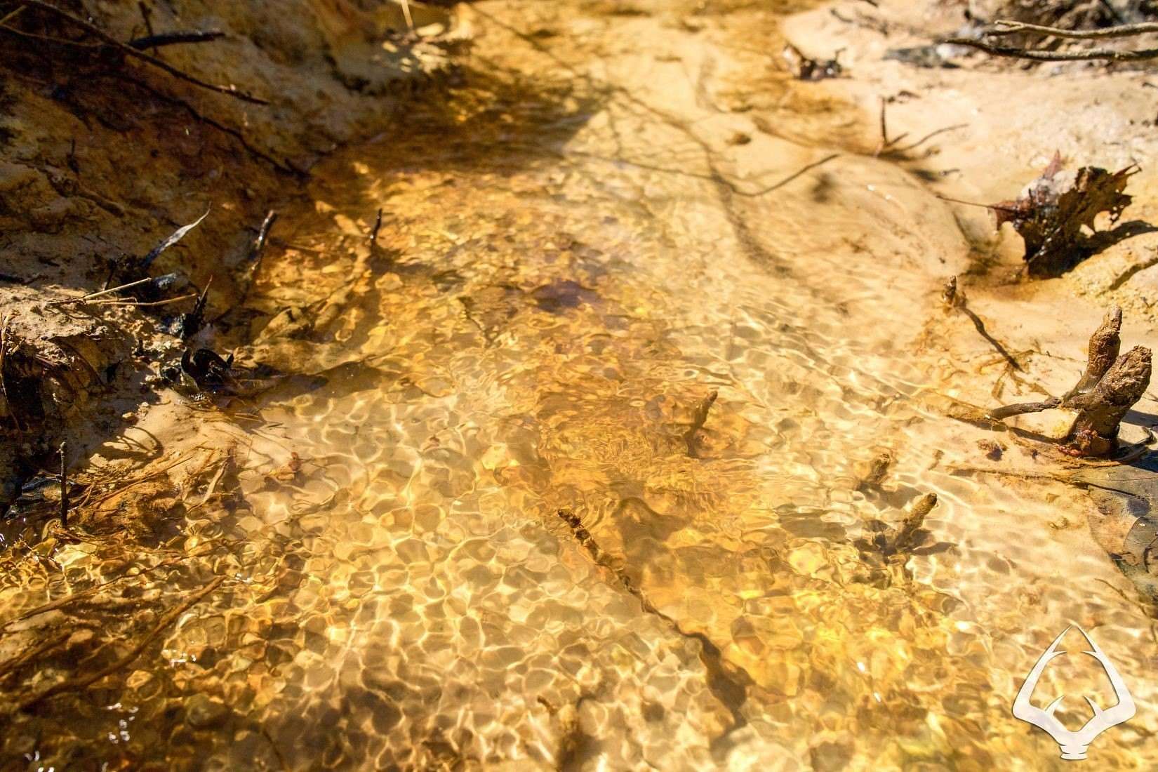 74 Acres of Recreational Land for Sale in Laneville, Texas