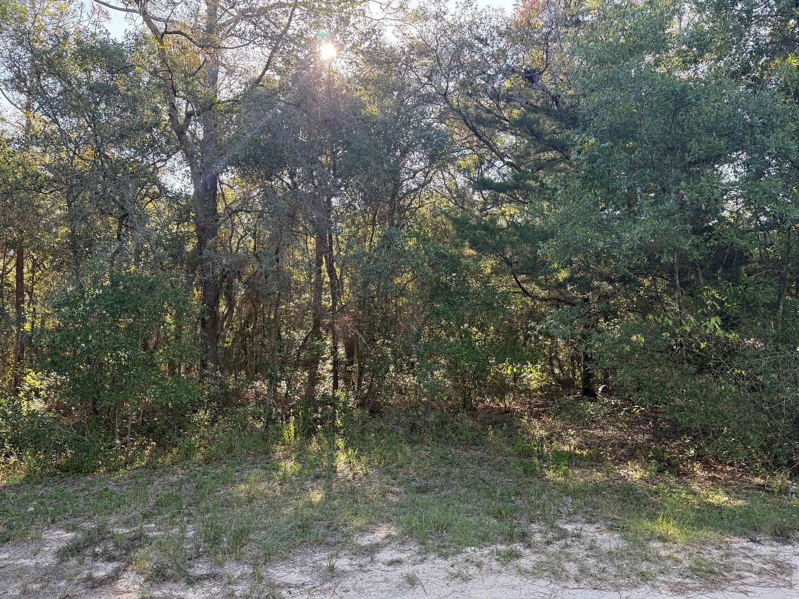 3.75 Acres of Residential Land for Sale in Keystone Heights, Florida
