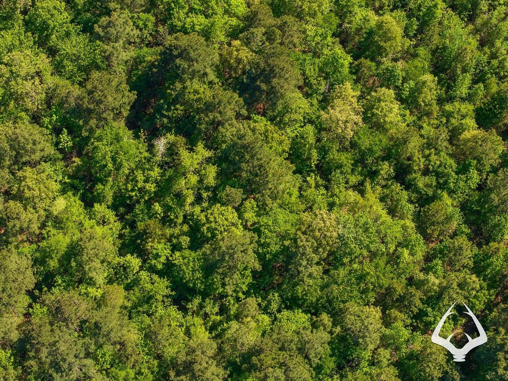 34.8 Acres of Recreational Land for Sale in Henderson, Texas