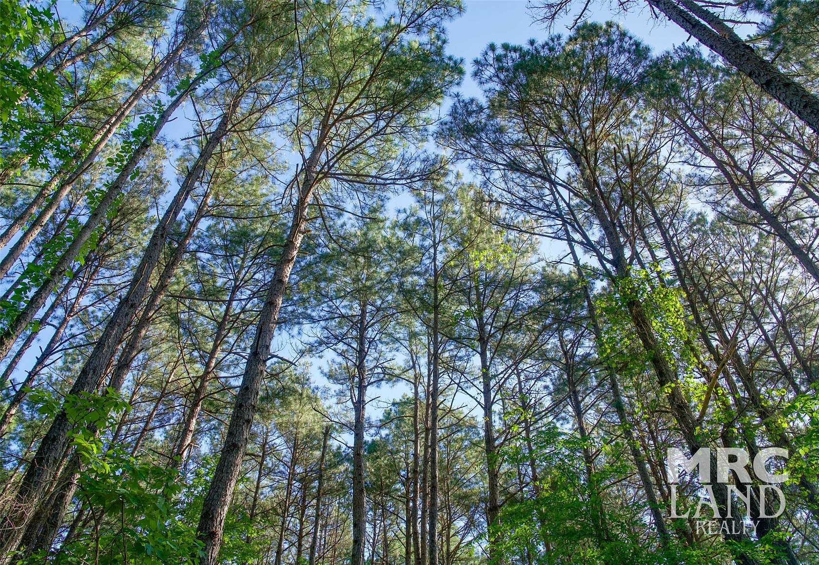 2.5 Acres of Mixed-Use Land for Sale in Mount Enterprise, Texas