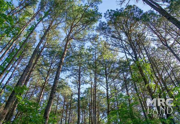 2.5 Acres of Mixed-Use Land for Sale in Mount Enterprise, Texas