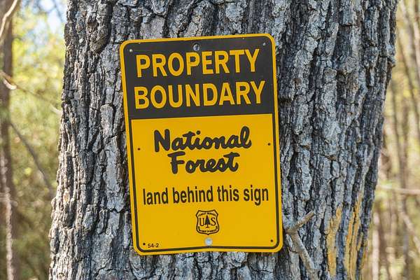 61 Acres of Recreational Land for Sale in Kennard, Texas