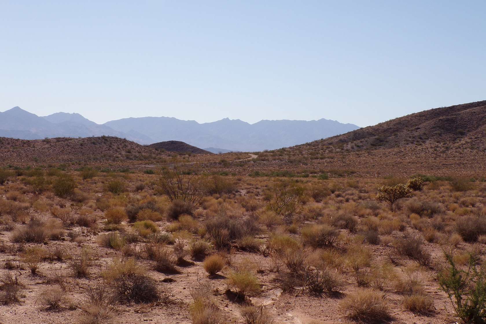 0.22 Acres of Residential Land for Sale in Kingman, Arizona