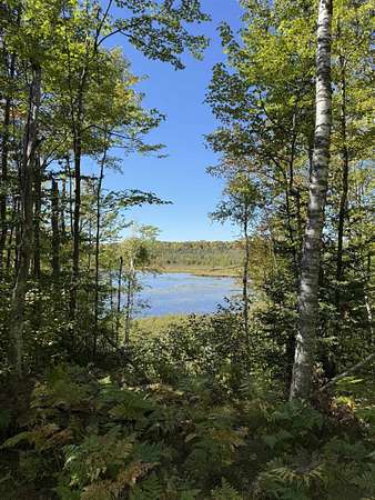 2.7 Acres of Residential Land for Sale in Mountain, Wisconsin