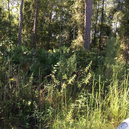 0.17 Acres of Residential Land for Sale in Melrose, Florida