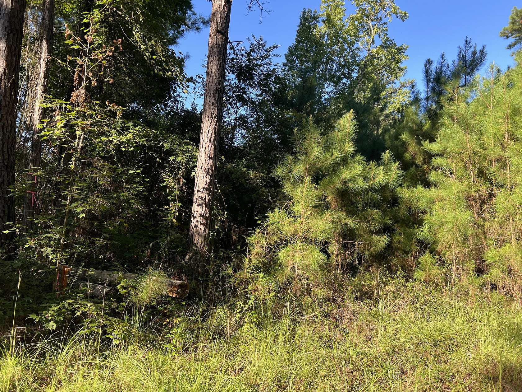 0.62 Acres of Residential Land for Sale in Santee, South Carolina