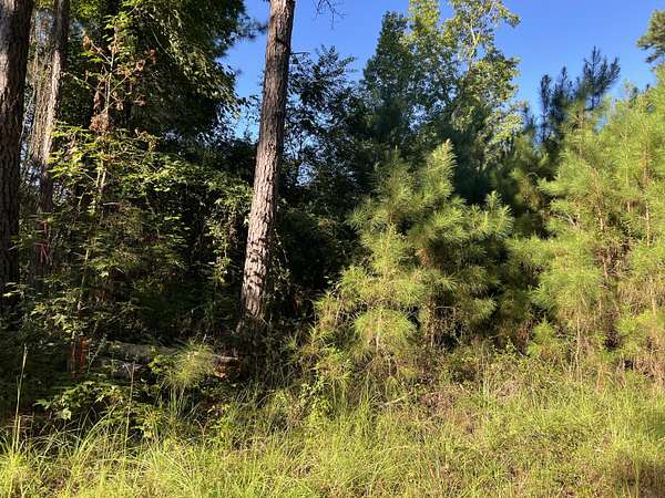 0.62 Acres of Residential Land for Sale in Santee, South Carolina