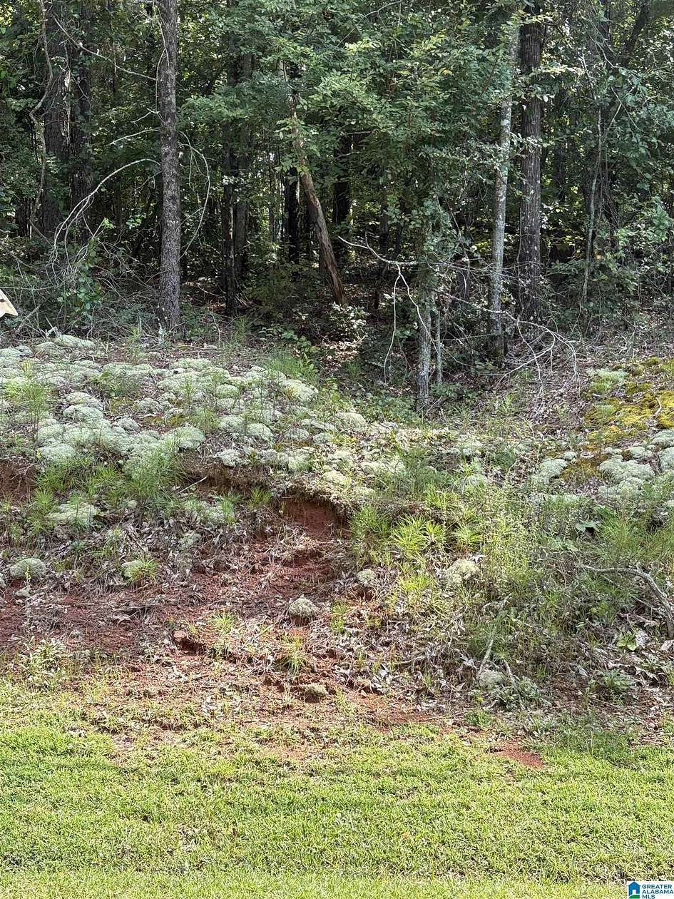 0.37 Acres of Land for Sale in Alexandria, Alabama