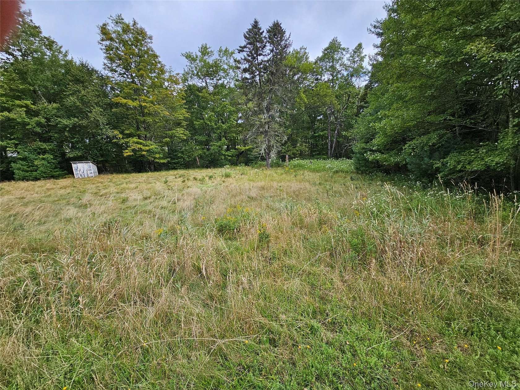 3 Acres of Residential Land for Sale in Kauneonga Lake, New York