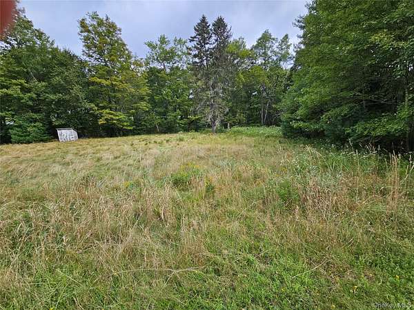 3 Acres of Residential Land for Sale in Kauneonga Lake, New York