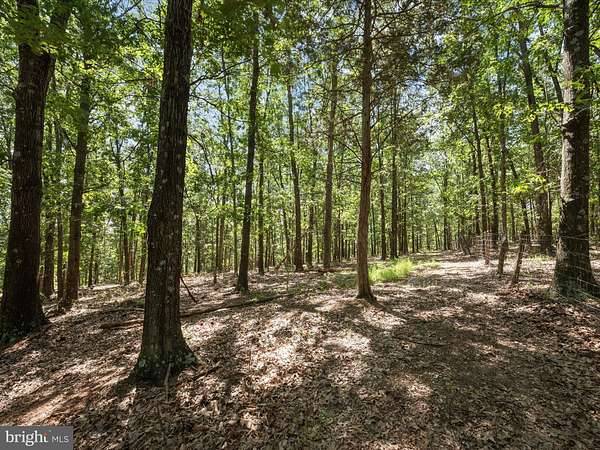 15 Acres of Land with Home for Sale in Winchester, Virginia