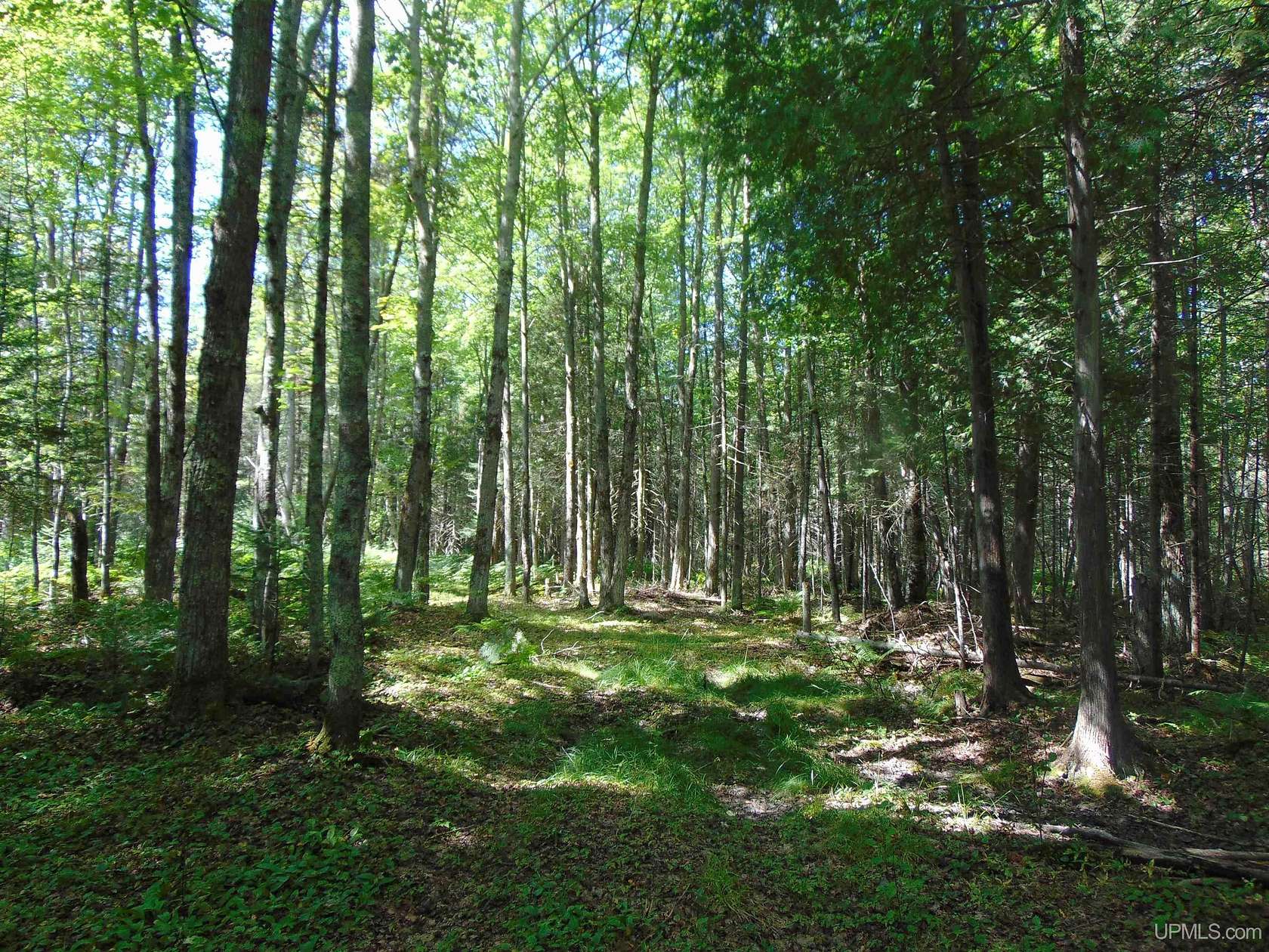 10 Acres of Residential Land for Sale in Bruce Crossing, Michigan