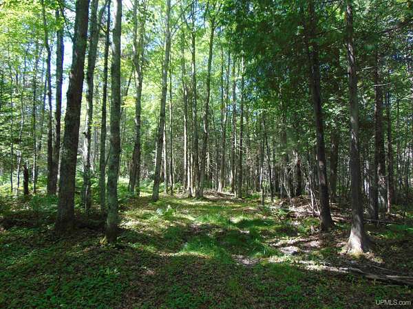 10 Acres of Residential Land for Sale in Bruce Crossing, Michigan