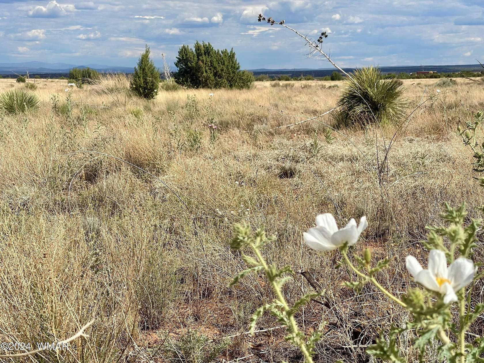 5.6 Acres of Residential Land for Sale in Snowflake, Arizona