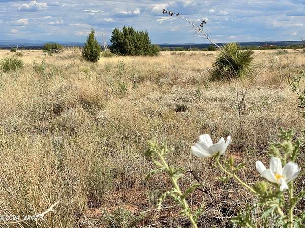 5.6 Acres of Residential Land for Sale in Snowflake, Arizona