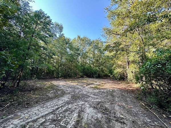 33 Acres of Recreational Land for Sale in Prattville, Alabama