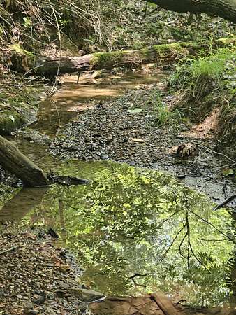 15 Acres of Land for Sale in Scarbro, West Virginia