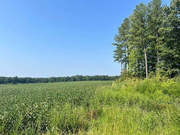 20.5 Acres of Land for Auction in Louisa, Virginia