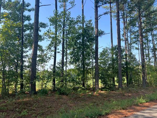 16.1 Acres of Land for Auction in Louisa, Virginia