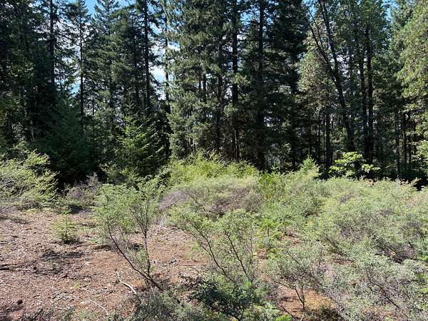 40 Acres of Recreational Land for Sale in Mount Shasta, California