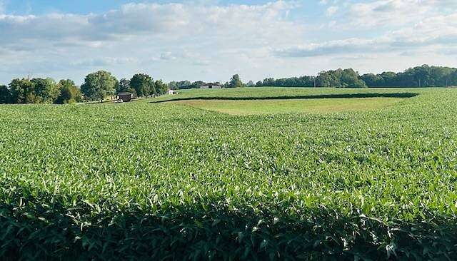 18 Acres of Land for Sale in Campbellsville, Kentucky