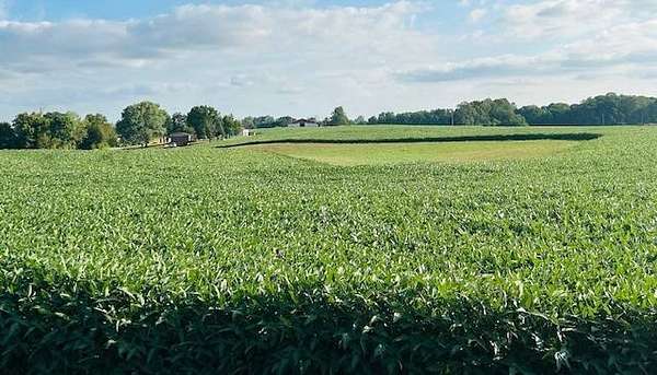 18 Acres of Land for Sale in Campbellsville, Kentucky