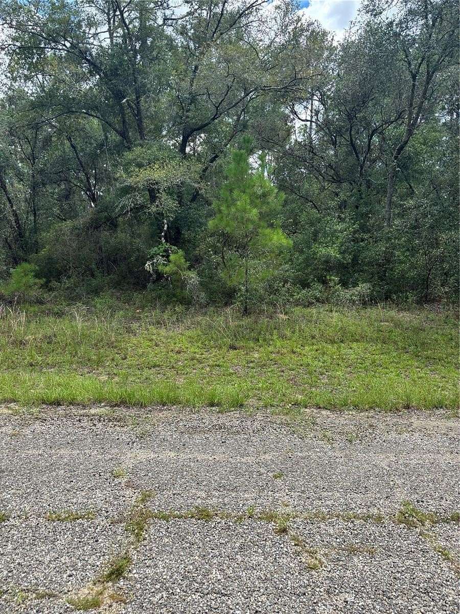 0.22 Acres of Residential Land for Sale in Citrus Springs, Florida