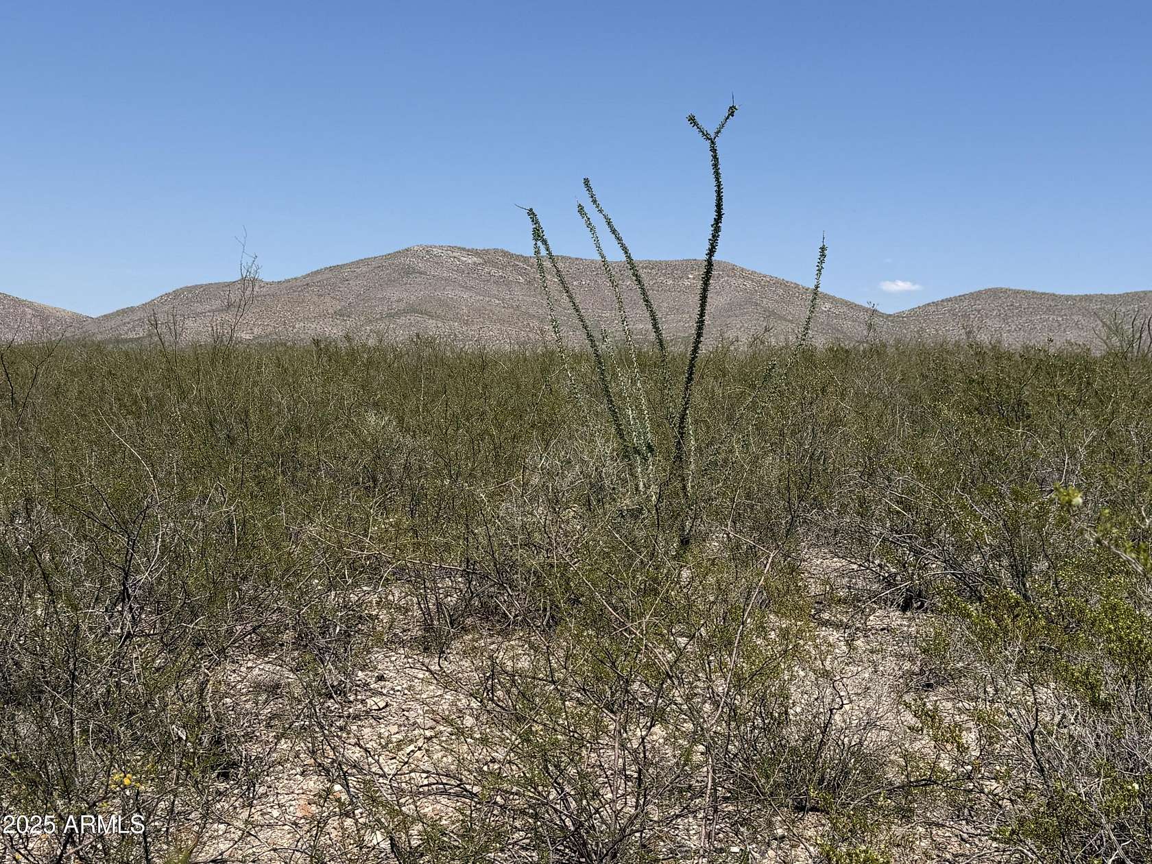 5 Acres of Land for Sale in Douglas, Arizona