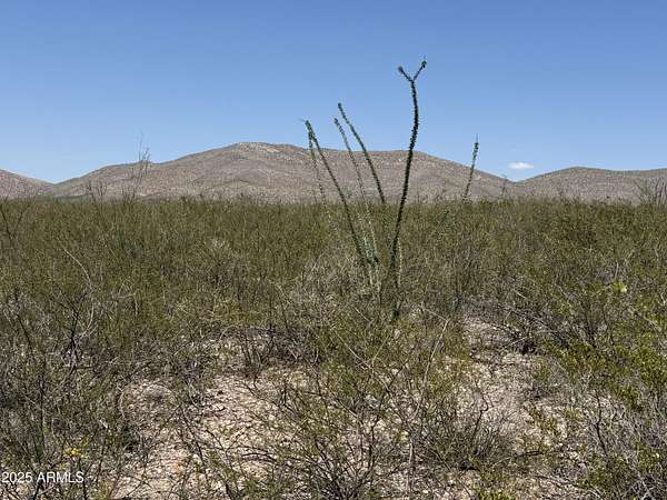 5 Acres of Land for Sale in Douglas, Arizona