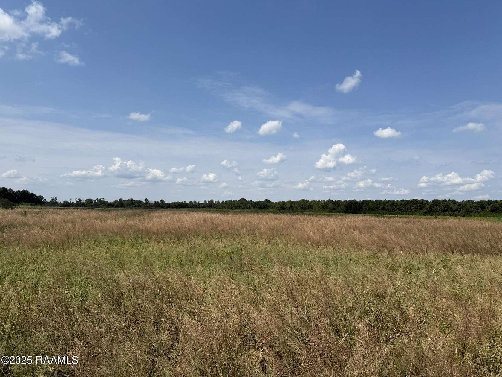 54.4 Acres of Agricultural Land for Sale in Ville Platte, Louisiana