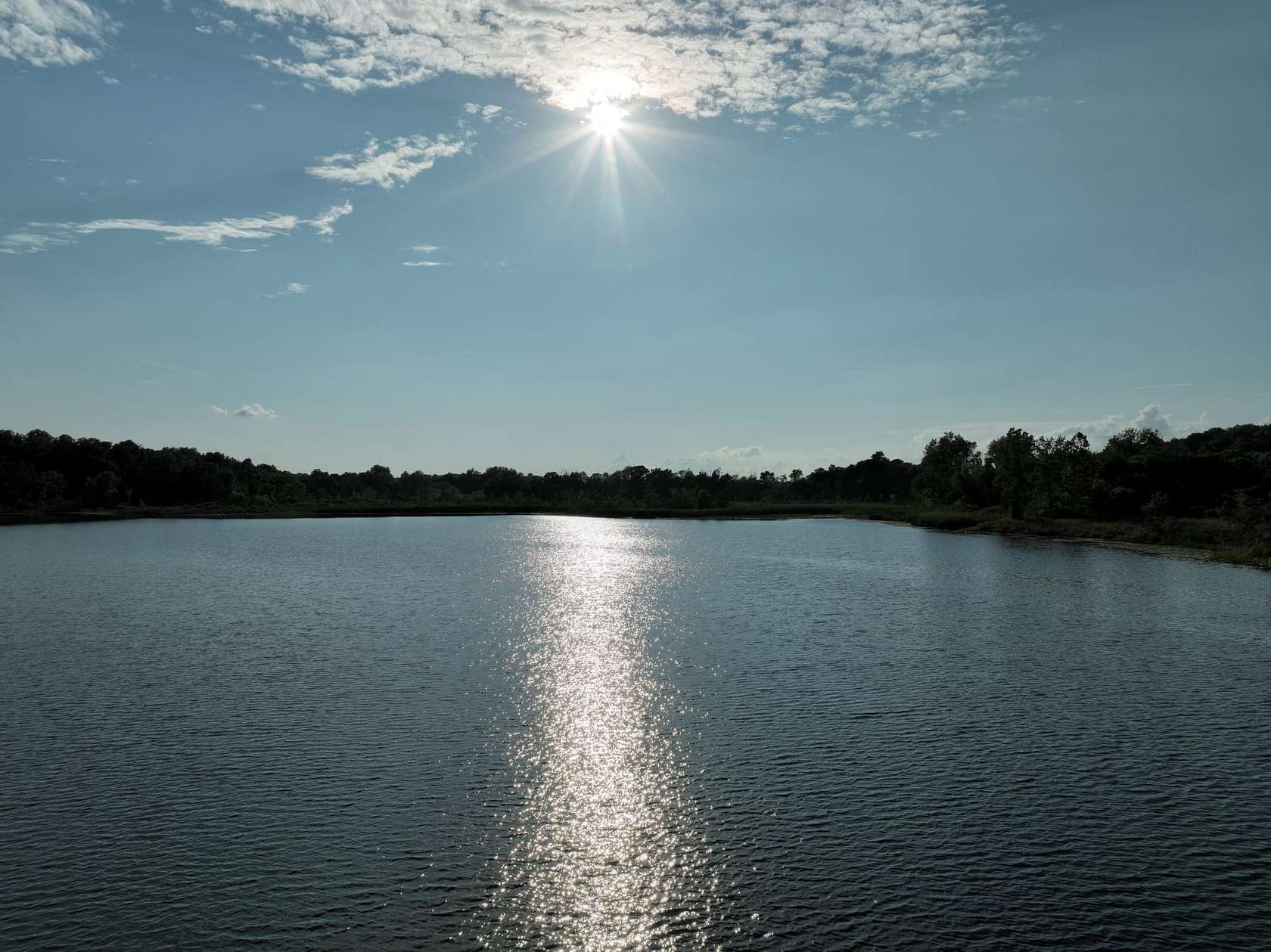 20.5 Acres of Land for Sale in Cassopolis, Michigan