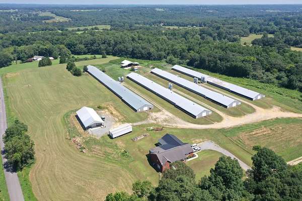 20 Acres of Agricultural Land for Sale in Horton, Alabama