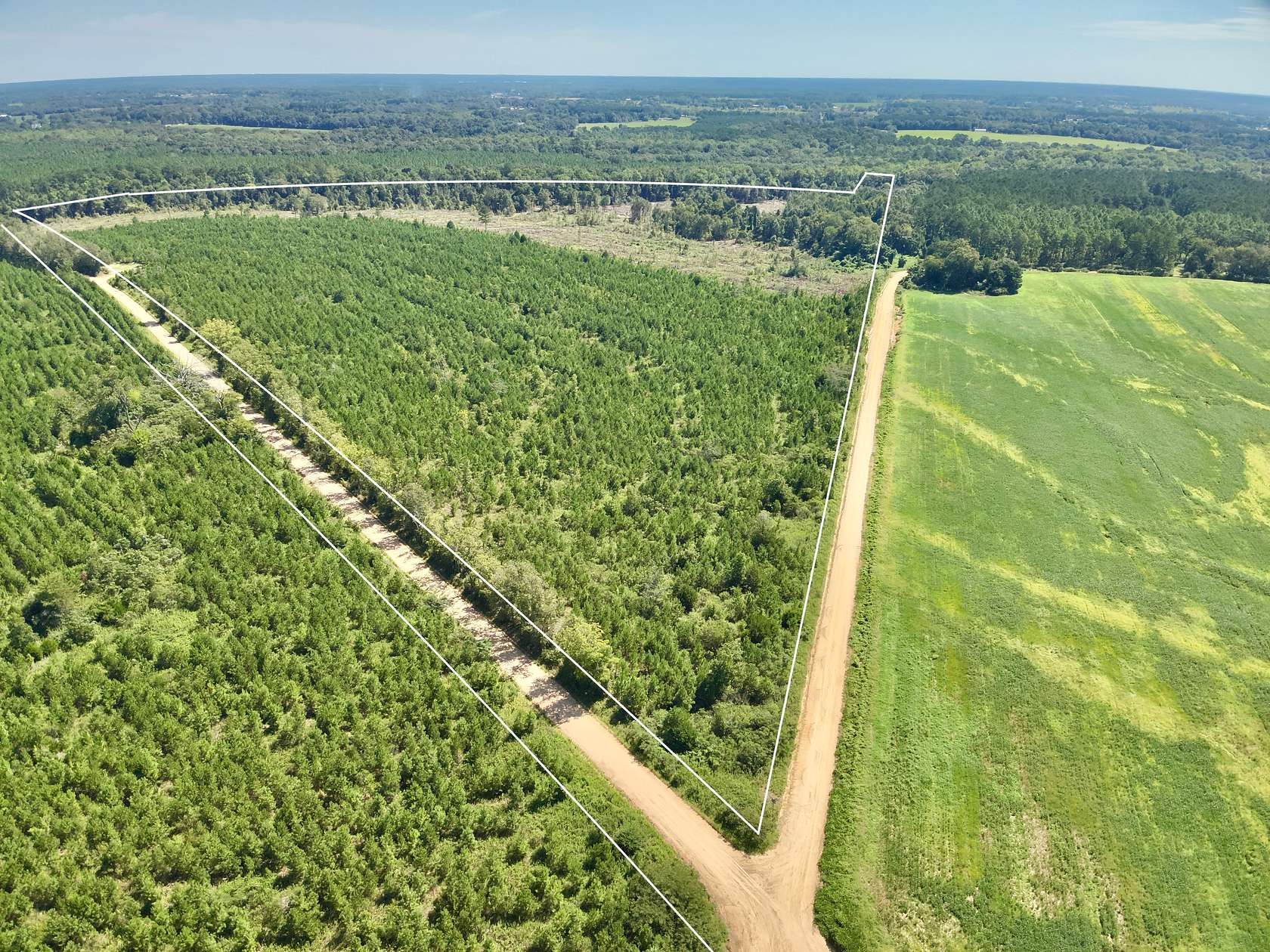 189 Acres of Land for Sale in Slocomb, Alabama