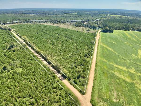 189 Acres of Land for Sale in Slocomb, Alabama