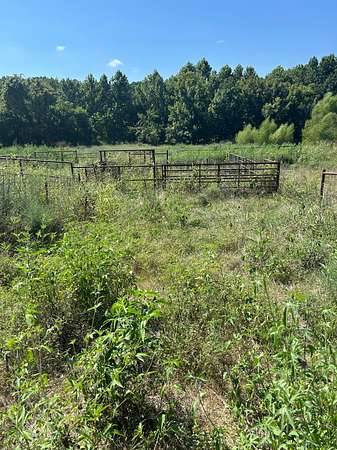 170 Acres of Agricultural Land for Sale in Jay, Oklahoma