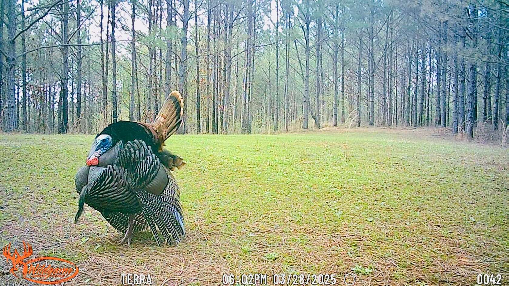 138 Acres of Land with Home for Sale in Booneville, Mississippi