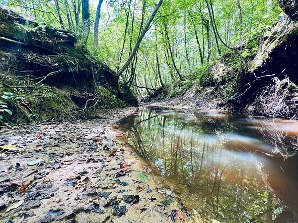 138 Acres of Land with Home for Sale in Booneville, Mississippi