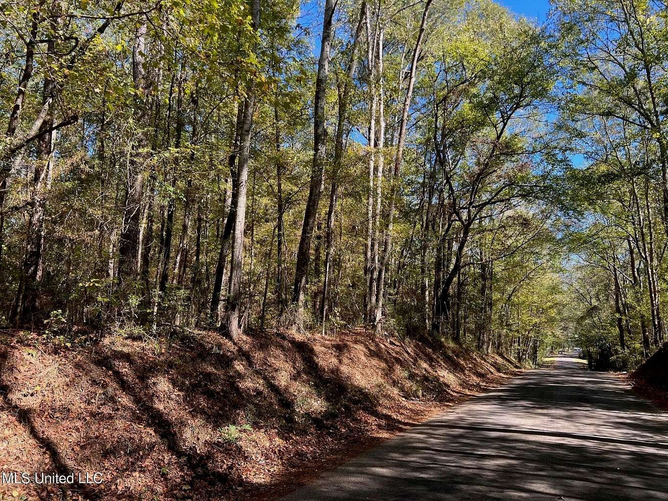 51.5 Acres of Land for Sale in McComb, Mississippi