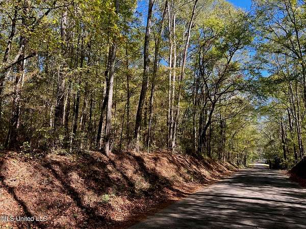 51.5 Acres of Land for Sale in McComb, Mississippi