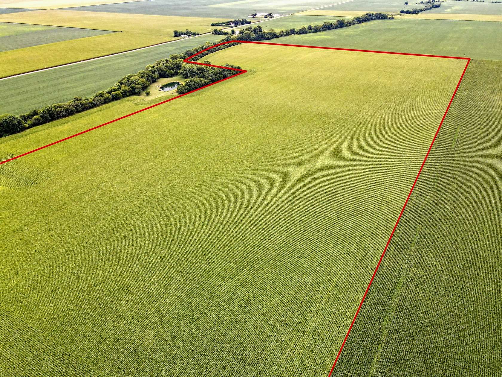 80.2 Acres of Agricultural Land for Sale in Chrisman, Illinois