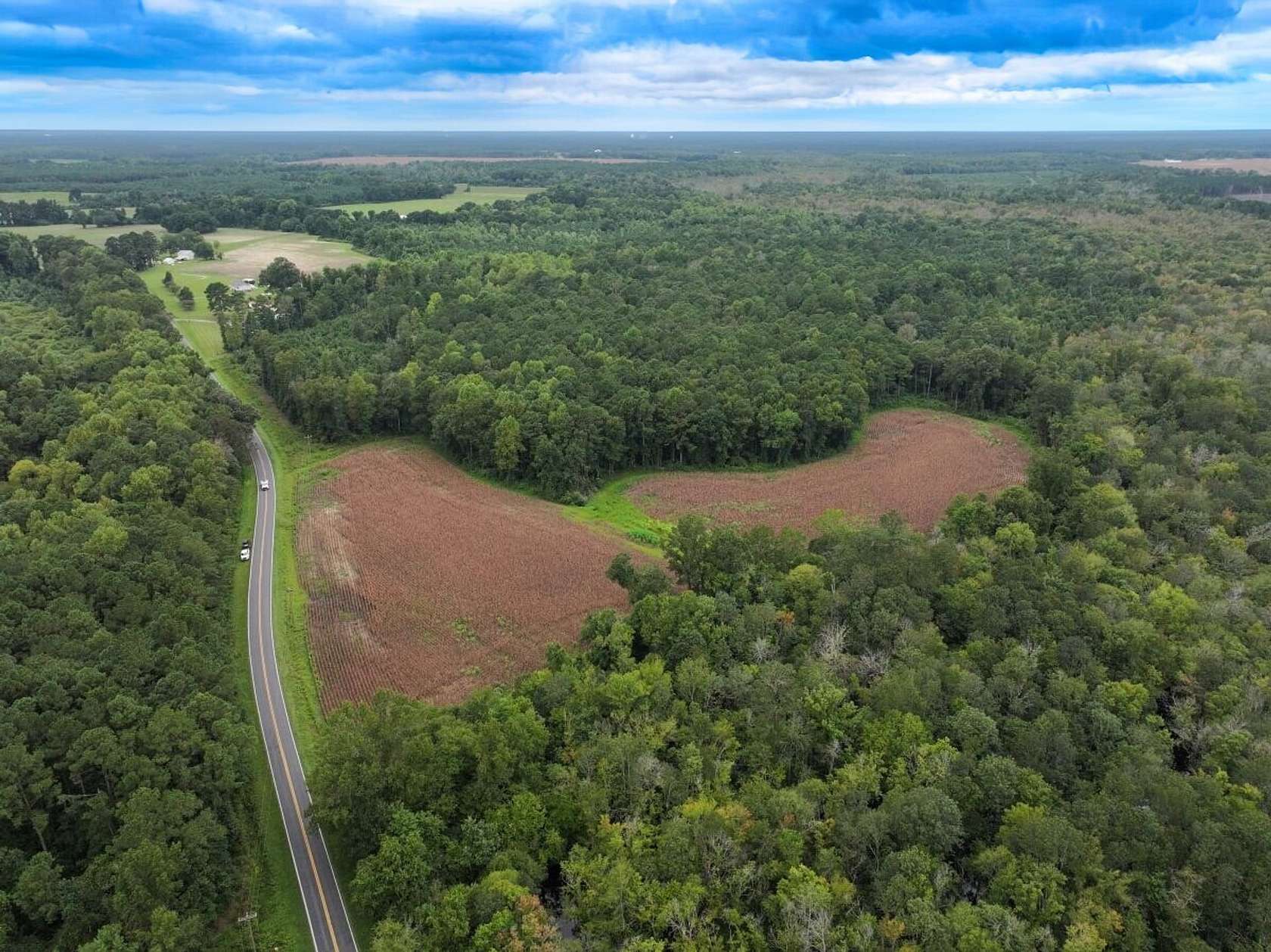 74.8 Acres of Recreational Land for Sale in Rose Hill, North Carolina
