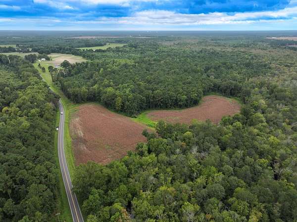 74.8 Acres of Recreational Land for Sale in Rose Hill, North Carolina