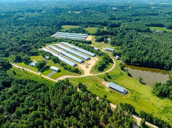 45 Acres of Recreational Land & Farm for Sale in Linden, North Carolina
