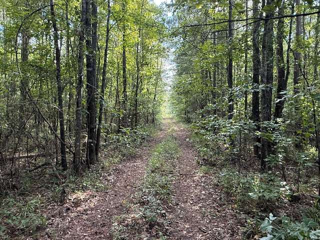 80 Acres of Land for Sale in Thomaston, Alabama