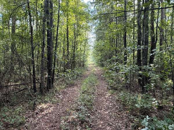 80 Acres of Land for Sale in Thomaston, Alabama
