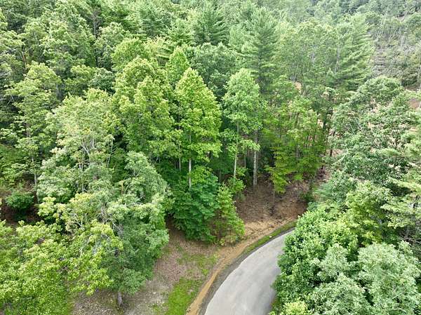 1.23 Acres of Residential Land for Sale in Mountain City, Tennessee
