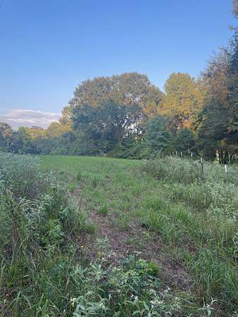 3.13 Acres of Residential Land for Sale in Canton, Texas