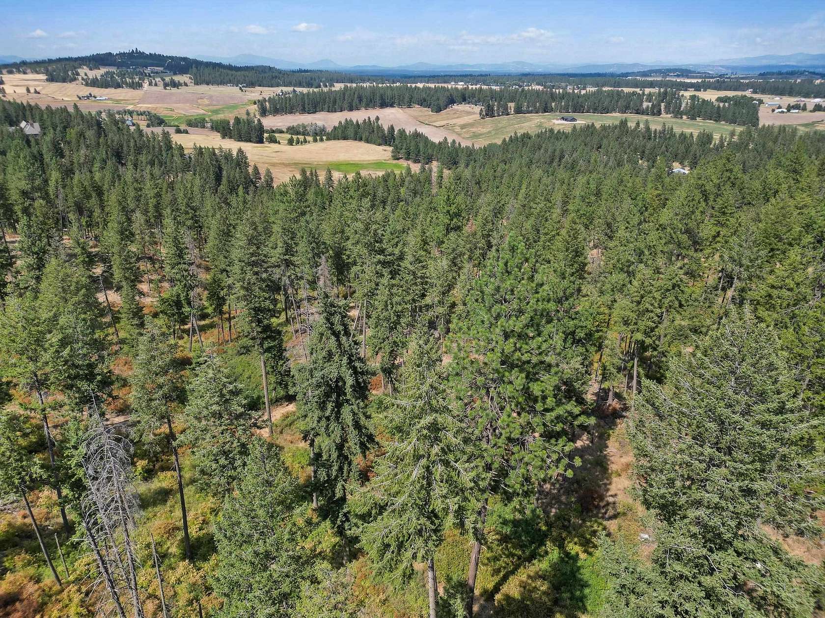 20.5 Acres of Recreational Land for Sale in Spokane, Washington