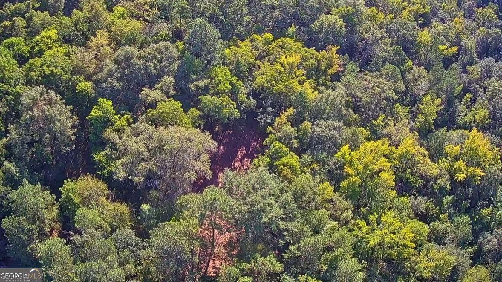 7.5 Acres of Land for Sale in Haddock, Georgia