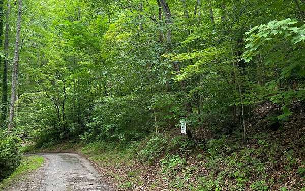 1 Acre of Residential Land for Sale in Hayesville, North Carolina